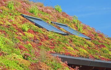 Gordonbush living roof systems